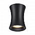 Потолочный светильник Odeon Light Zetta 4272/1C