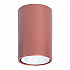 Потолочный светильник TopDecor Tubo6 P1 20