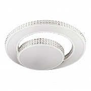 Потолочный светодиодный светильник Escada 10205/2LED