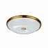 Потолочный светильник Odeon Light Pelow 4956/5