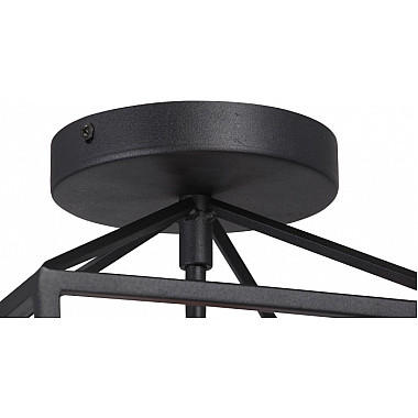 Потолочный светильник V3766-1/1PL