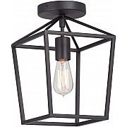 Потолочный светильник V3766-1/1PL