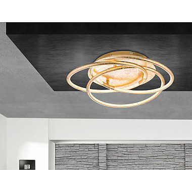 Потолочный светодиодный светильник Globo Barna 67828-30G