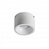 Потолочный светодиодный светильник Favourite Reflector 1991-1C