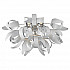Потолочный светильник Lussole Loft GRLSA-5927-09