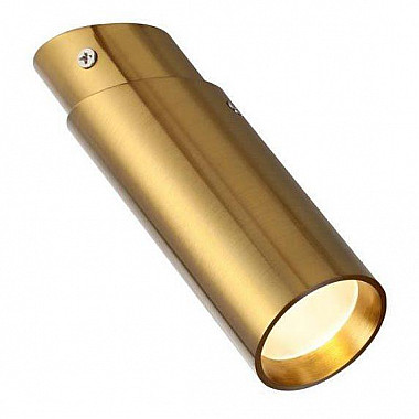 Потолочный светодиодный светильник Favourite Insuper 2799-1U