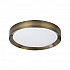 Потолочный светодиодный светильник Odeon Light Lunor 4948/45CL