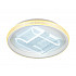 Потолочный светодиодный светильник Ambrella light Original FA600