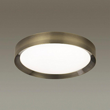 Потолочный светодиодный светильник Odeon Light Lunor 4948/45CL