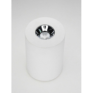 Потолочный светодиодный светильник Elvan NLS-210067-4.2W-WW-WhCh