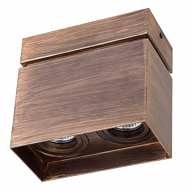 Потолочный светодиодный светильник Favourite Retro 2794-2U