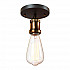 Потолочный светильник Loft IT Loft3103C