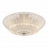 Потолочный светильник Lightstar Zucche 820264