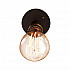 Потолочный светильник Loft IT Loft3103C