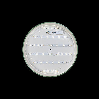 Потолочный светодиодный светильник Loft IT Axel 10001/36 green