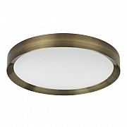 Потолочный светодиодный светильник Odeon Light Lunor 4948/60CL