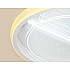 Потолочный светодиодный светильник Ambrella light Original FA602