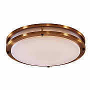 Потолочный светодиодный светильник Citilux Бостон CL709503N