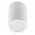 Потолочный светильник Fametto Sotto DLC-S601 GU10 White