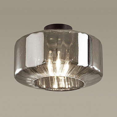 Потолочный светильник Odeon Light Binga 4746/1C
