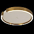 Потолочный светодиодный светильник Loft IT Ring 10026