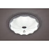 Потолочный светодиодный светильник Escada 10231/S LED