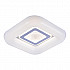 Потолочный светодиодный светильник Escada 10204/SG LED