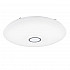 Потолочный светодиодный светильник Citilux СтарЛайт CL703140R
