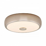 Потолочный светодиодный светильник Citilux Фостер-3 CL706321