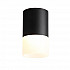 Потолочный светодиодный светильник ST Luce Ottu ST100.442.10