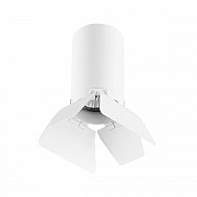 Потолочный светильник Lightstar Rullo (214436+202436) R436436