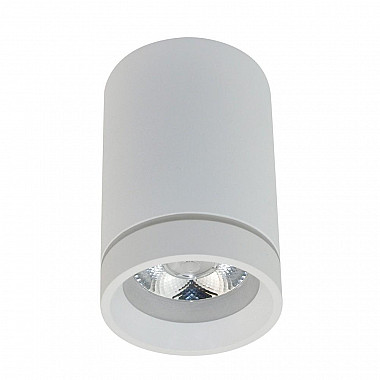 Потолочный светодиодный светильник Aployt Edda APL.0053.09.10