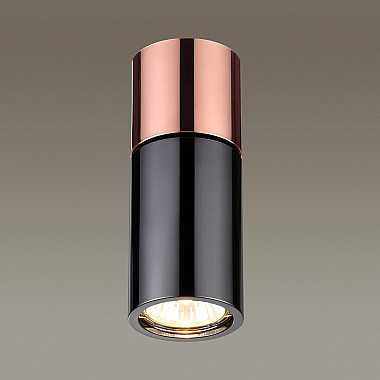 Потолочный светильник Odeon Light Duetta 3583/1C