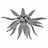 Потолочный светильник Ideal Lux Leaves PL6 Fume 112282
