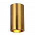 Потолочный светодиодный светильник Favourite Stirpe 2796-1U