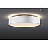 Потолочный светодиодный светильник SLV Medo 40 Led CW Triac 1001884