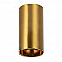 Потолочный светодиодный светильник Favourite Stirpe 2796-1U