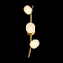 Настенный светильник Sakura 10212W Gold