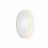 Настенный светодиодный светильник iLedex Lunar ZD8102-18W WH