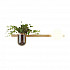 Настенный светильник Odeon Light Flower 4682/1WA