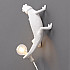 Настенный светильник Chameleon Lamp 15092