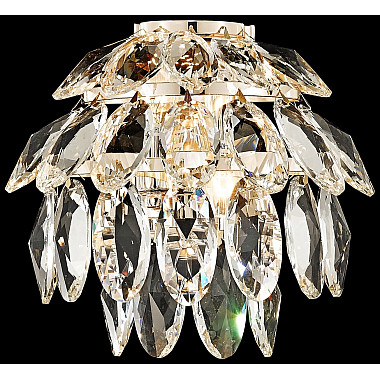 Настенный светильник Ludgera WE113.02.301