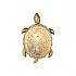 Настенный светодиодный светильник Favourite Turtle 2254-1W