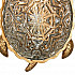 Настенный светодиодный светильник Favourite Turtle 2254-1W