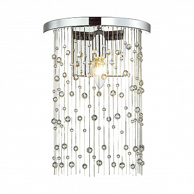 Настенный светильник Odeon Light Raini 4845/1W