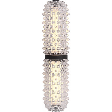 Настенный светильник Saguaro SL6144.401.01