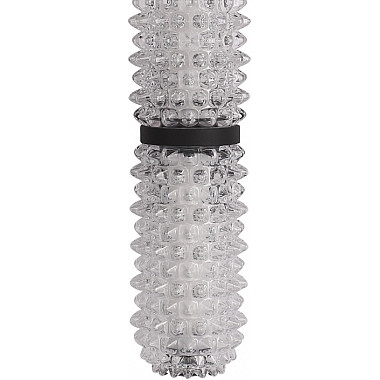 Настенный светильник Saguaro SL6144.401.01