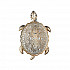 Настенный светодиодный светильник Favourite Turtle 2256-1W