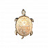 Настенный светодиодный светильник Favourite Turtle 2256-1W
