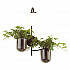 Настенный светильник Odeon Light Flower 4681/1W